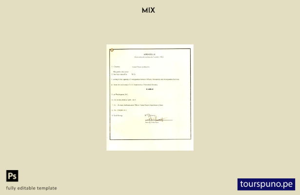 Plantilla de Apostilla de EE. UU. lista para imprimir